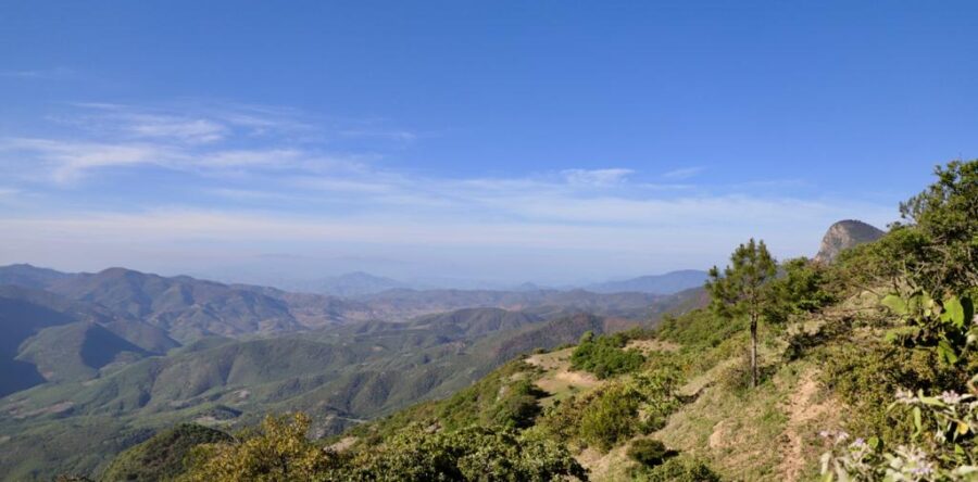 Refuerza Gobierno del Estado alianza de colaboración con la Agencia de Cooperación Alemana al Desarrollo Sustentable