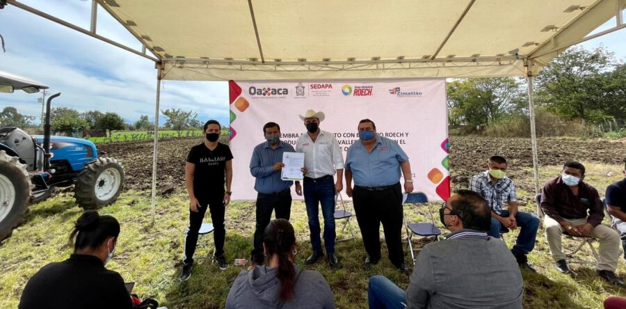 Potencia Sedapa cultivo de amaranto, sábila, nopal y vainilla en Oaxaca