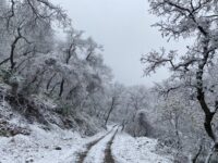 Así se ven Coahuila, Nuevo León y Tamaulipas después de las nevadas