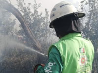 Continúa incendio forestal en Clavellinas, Zimatlán