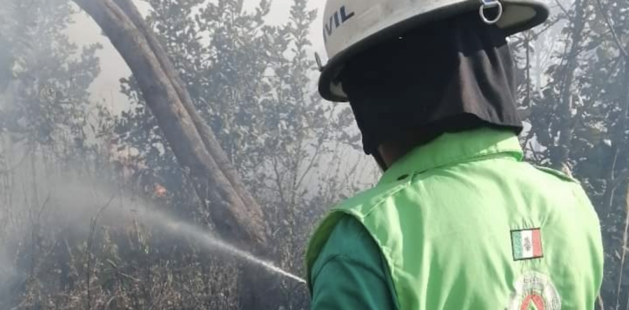 Continúa incendio forestal en Clavellinas, Zimatlán