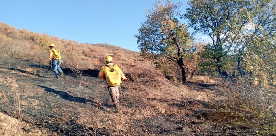 Atiende Coesfo incendios forestales en los Valles Centrales