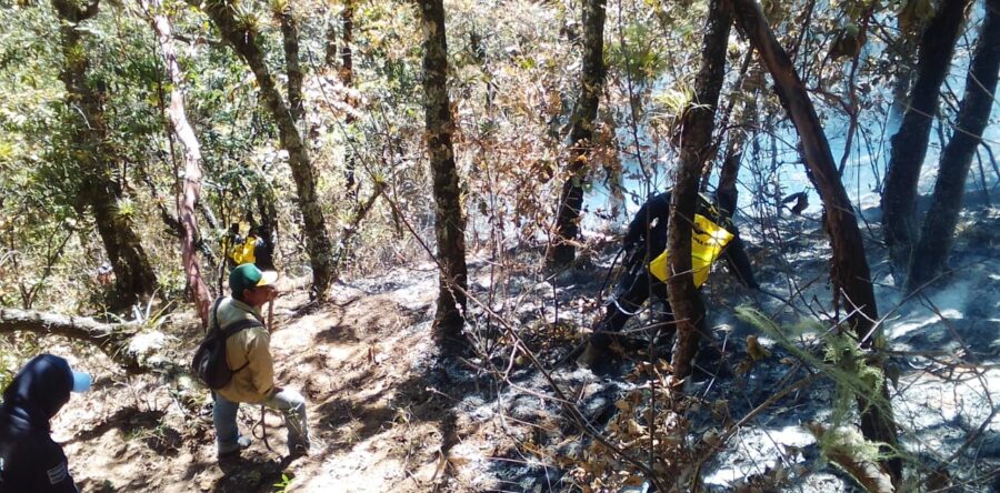 Declaran en emergencia a 28 municipios en Oaxaca