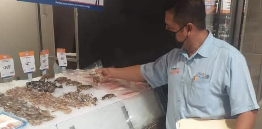 Realizan los SSO operativo Cuaresma 2021