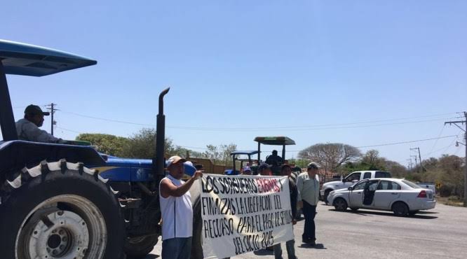 Amenazan sorgueros con bloquear carreteras del Istmo de Tehuantepec
