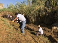 Refuerza Ayuntamiento de Oaxaca de Juárez acciones preventivas en ríos y arroyos de la ciudad