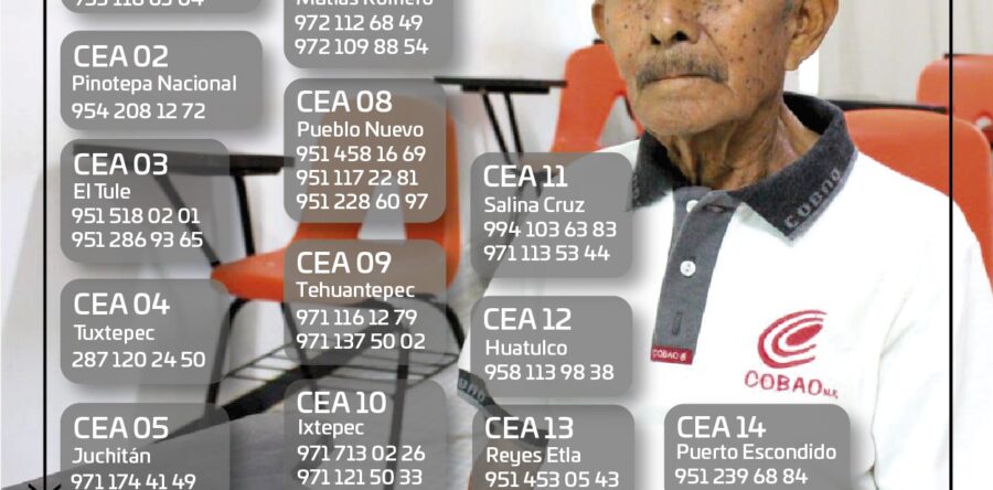 Continúa tus estudios en el Sistema de Educación Abierta