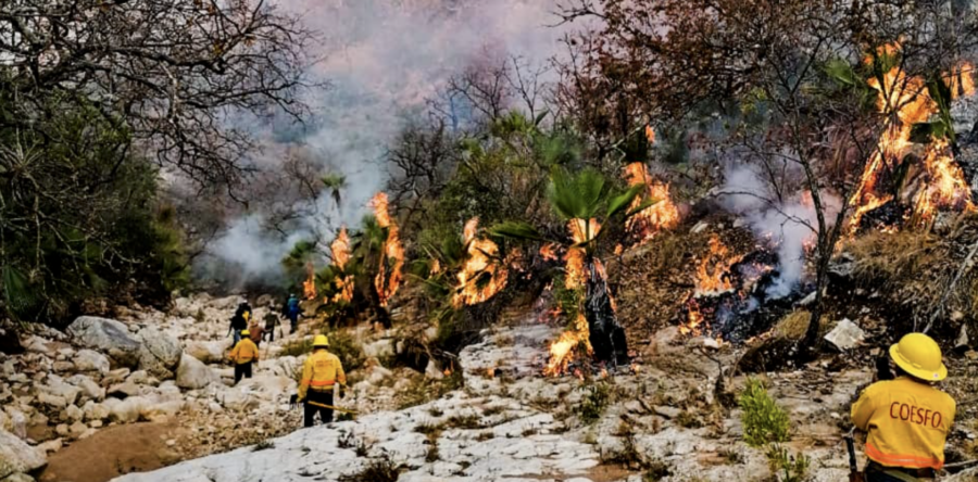Controla Coesfo incendio en Magdalena Jaltepec