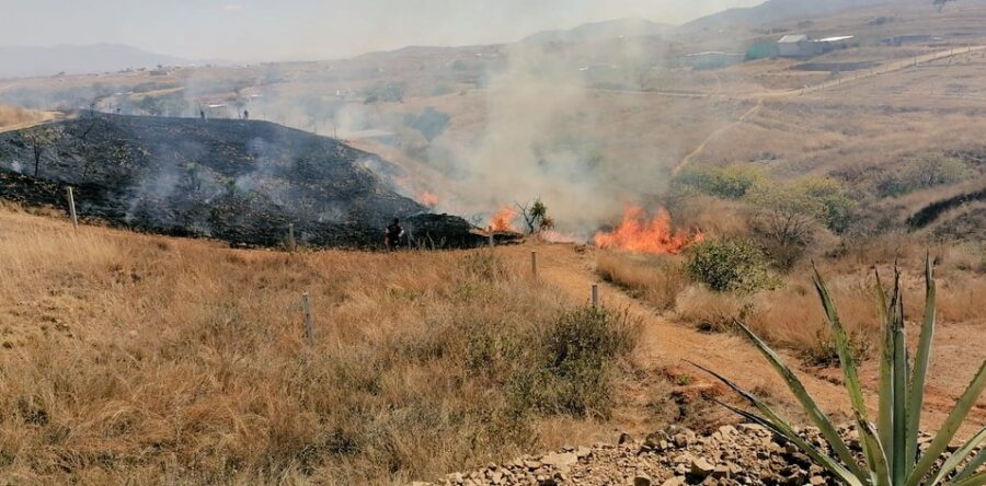 Declaran 13 municipios en emergencia por incendios forestales en Oaxaca