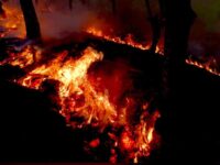 Declaran incendio fuera de control en la Sierra Sur; piden ayuda área para sofocar conflagración