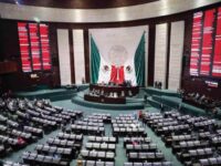 La renovación del Congreso Federal: Francisco Ángel Maldonado Martínez*