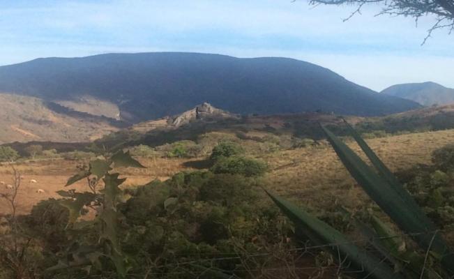 Asesinan a seis personas en Sola de Vega por disputa de tierras