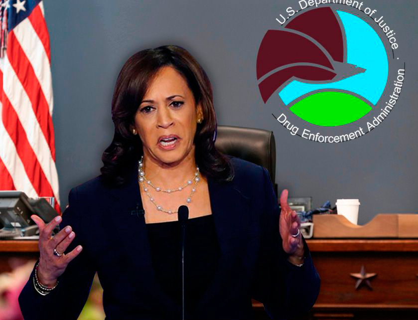 Kamala en Mexico como jefa de la DEA, no vicepresidenta: Carlos Ramírez