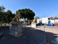 Brinda Ayuntamiento de Oaxaca atención constante a parques y jardines de la ciudad