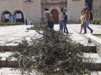 Otra vez, Markoa Vásquez protestó por la falta de acciones hacía el arbolado