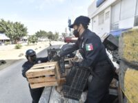 Ayuntamiento de Oaxaca de Juárez libera vialidades de la ciudad con el operativo “Barredora”