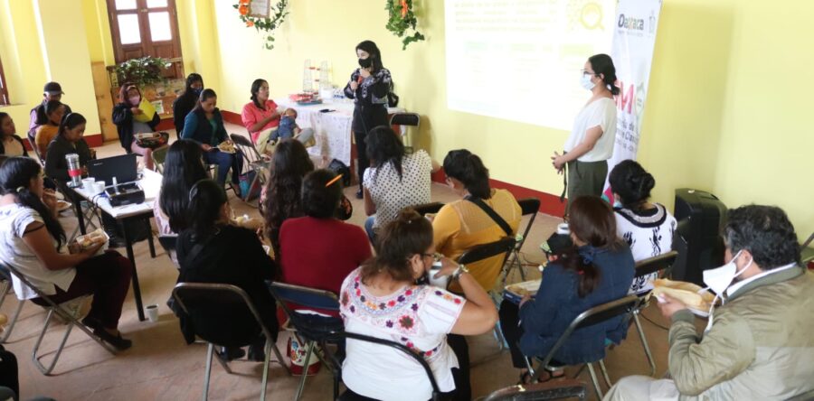 En Foro, Instancias de las Mujeres de la región Mixe analizan avances y retos en materia de igualdad sustantiva