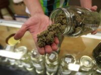 SCJN permite consumo lúdico de mariguana sólo a mayores de edad