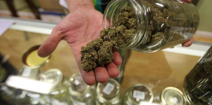 SCJN permite consumo lúdico de mariguana sólo a mayores de edad