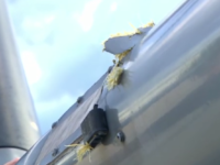 Ofrecen recompensa por información sobre ataque a presidente Duque