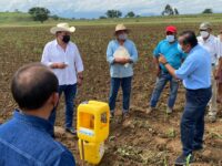 Ponen en marcha campaña fitosanitaria para la producción de maíz