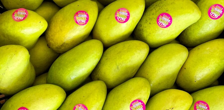 Impulsa Gobierno del Estado desarrollo agroindustrial de Oaxaca