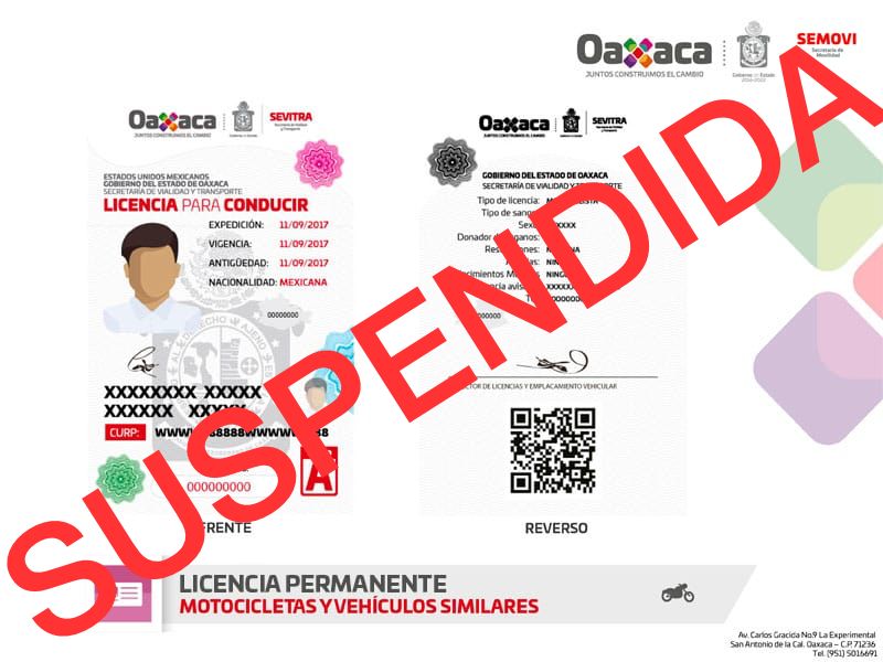 Quitan licencia de conducir al chofer que atropelló a un canino