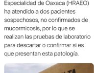 ¿Qué es la mucormicosis o “hongo negro” y cuáles son los síntomas?; hay dos casos sospechosos en Oaxaca