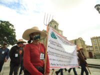 Provoca Tatiana Cloutier de pérdidas millonarias en el sector mezcalero de Oaxaca