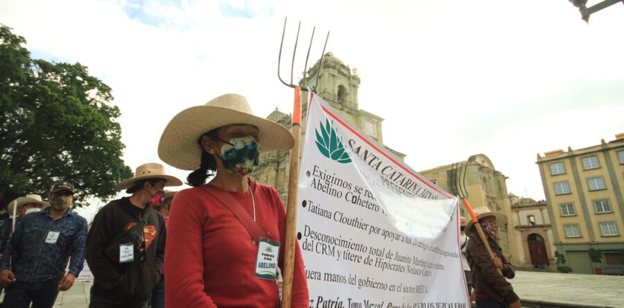 Provoca Tatiana Cloutier de pérdidas millonarias en el sector mezcalero de Oaxaca