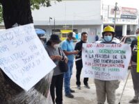 Piden no derribar más árboles para el proyecto de avenida Símbolos Patrios