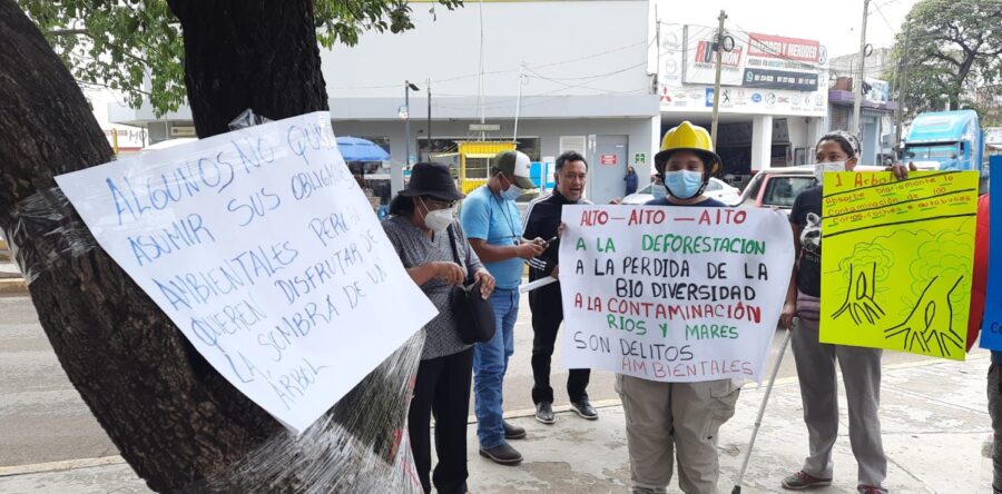Piden no derribar más árboles para el proyecto de avenida Símbolos Patrios
