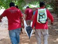 Capturan a un cocodrilo de 2 metros en la Costa