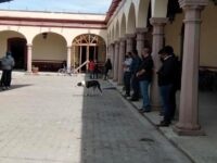 Mueren trabajadores del Ayuntamiento de Tlacolula por Covid-19
