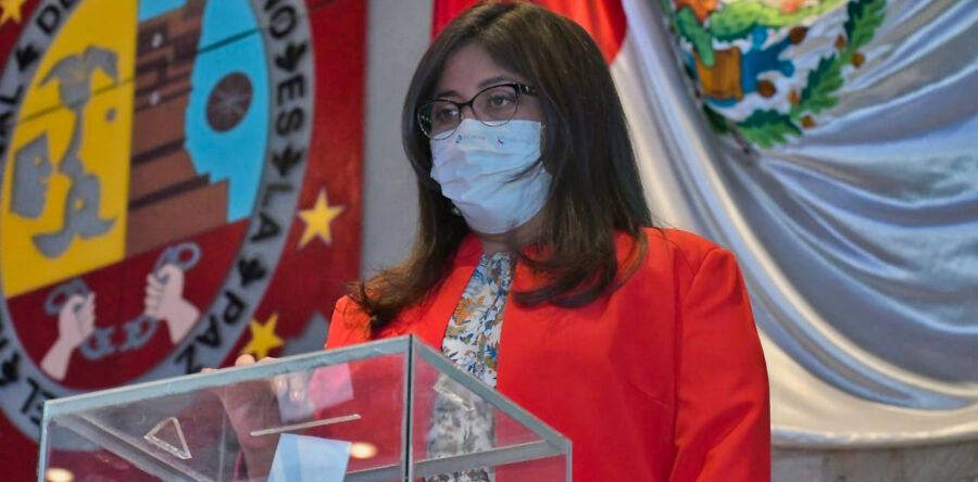 Designa PVEM a Diputada Victoria Cruz Villar como coordinadora de la fracción  parlamentaria en la LXIV Legislatura local