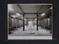 Exposición virtual del AGEO atrae visitantes de México y el mundo