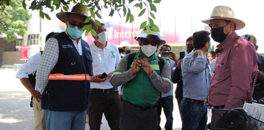 Aumenta 150% número de árboles en avenida Símbolos Patrios