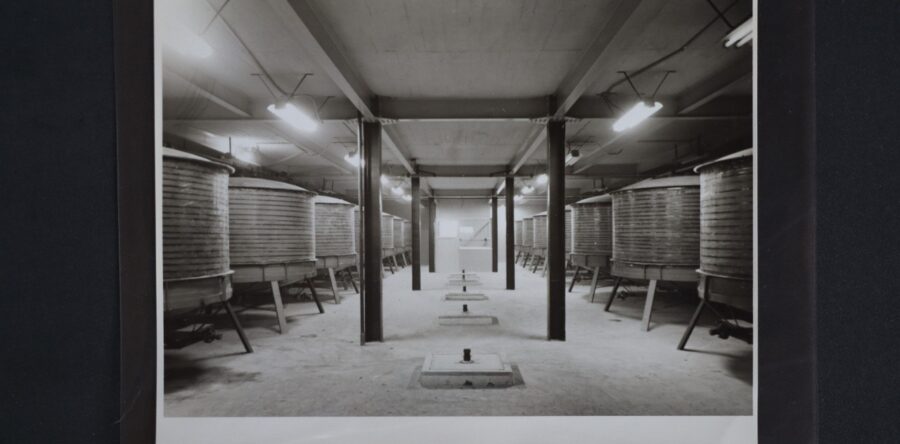 Exposición virtual del AGEO atrae visitantes de México y el mundo