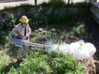 Piden los SSO mantener los espacios limpios para evitar el dengue