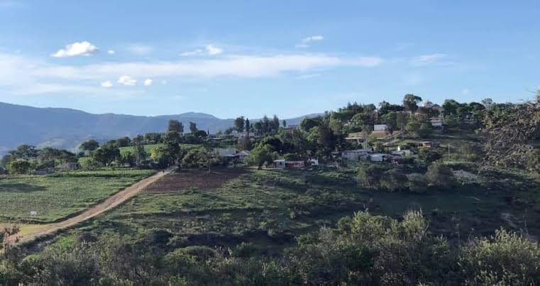 Niega edil de Sosola favorecerse con la pavimentación de un camino