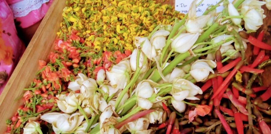 Las flores aportan un delicado sabor y colorido a la cocina de Oaxaca