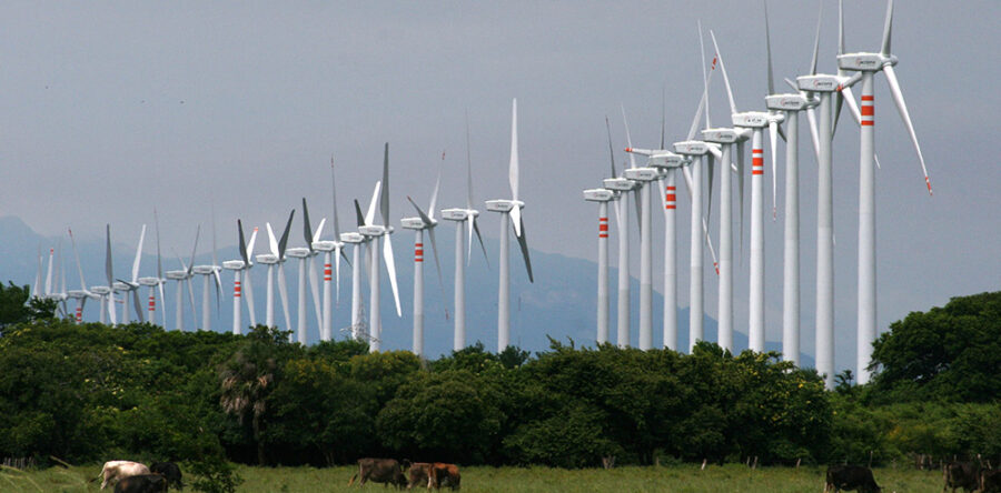 Detienen proyecto eólico en Oaxaca; juez concede amparo