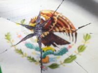 Enfermo terminal: Carlos R. Aguilar Jiménez