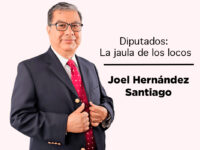 Diputados: La jaula de los locos: Joel Hernández Santiago