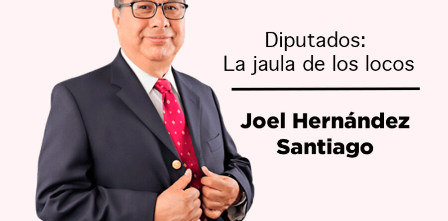 Diputados: La jaula de los locos: Joel Hernández Santiago