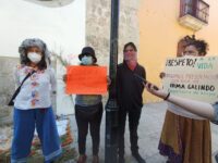 Piden que se  intensifique la búsqueda de la ambientalista Irma Galindo.