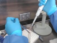 Confirma InDRE primer caso de Ómicron en Oaxaca: SSO