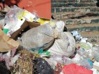 A medias el servicio de recolección de basura en la Capital del Estado