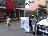 Marchan a favor del libre consumo de la cannabis