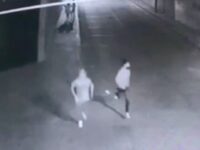 Captan a pareja de  asaltantes en San Juan Chapultepec